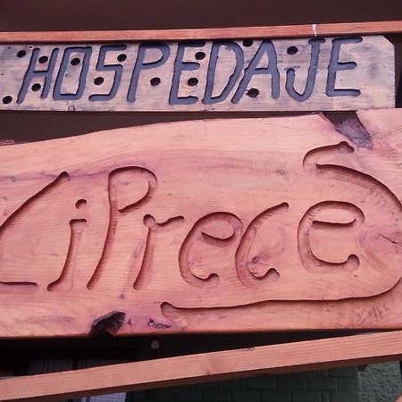 Hospedaje Los Cipreses Койхайке Екстериор снимка